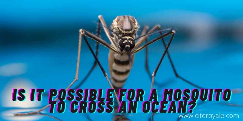 Is it possible for a mosquito to cross an ocean