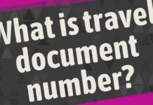 What is Travel Document Number