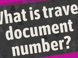 What is Travel Document Number