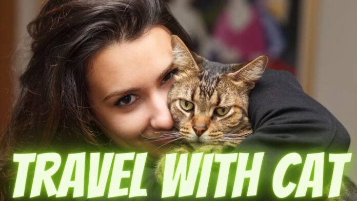 travel with cat