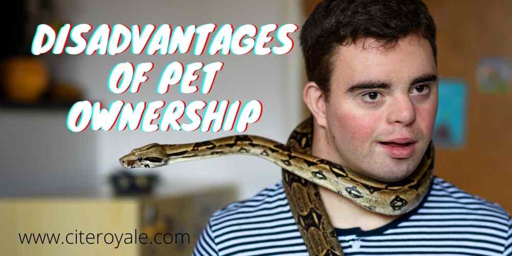 Pet ownership