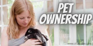 Pet ownership