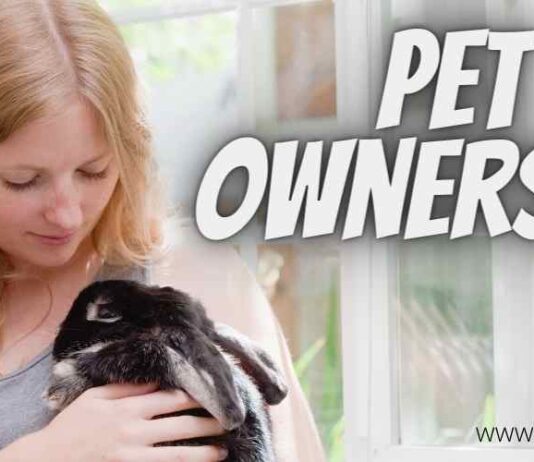 Pet ownership