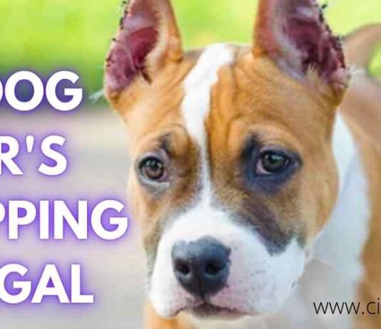 IS DOG EAR'S CROPPING ILLEGAL