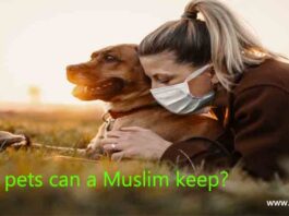 What pets can a Muslim keep?