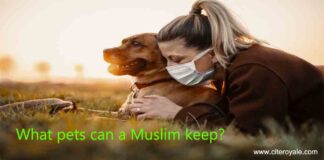 What pets can a Muslim keep?