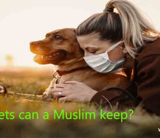 What pets can a Muslim keep?