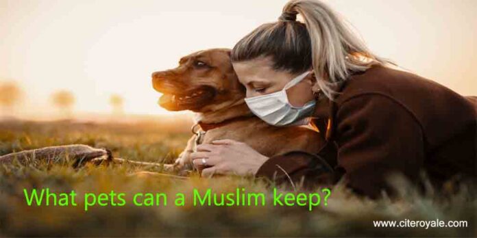 What pets can a Muslim keep?