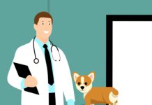 Pet Vet