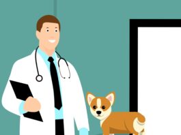 Pet Vet