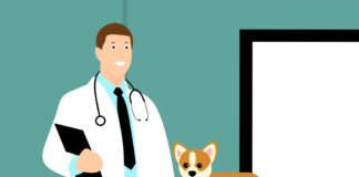 Pet Vet