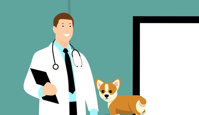 Pet Vet