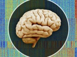 How Ketamine Affects the Brain